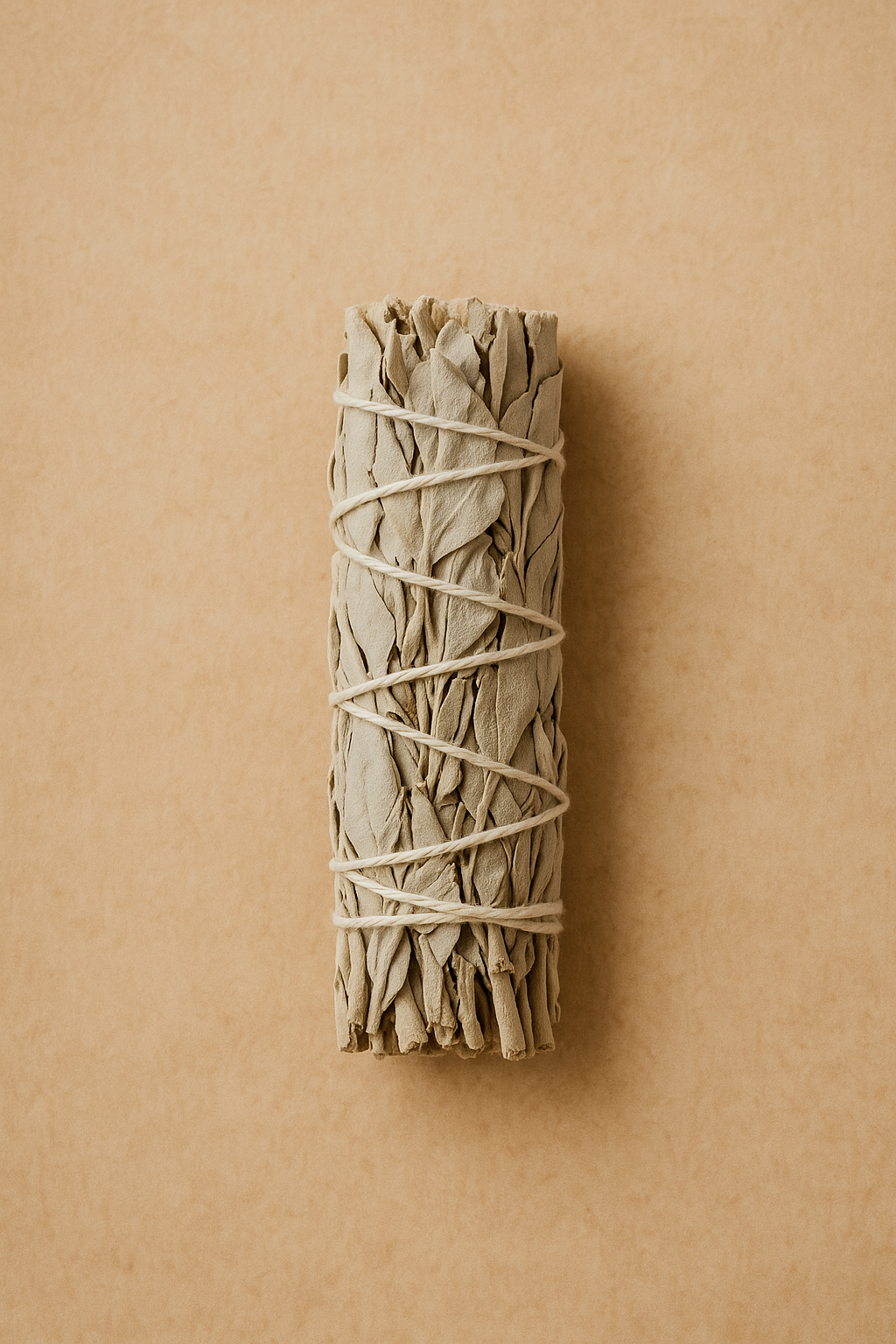 Bâton de Sauge Blanche – 10 cm