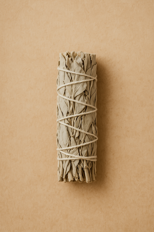 Bâton de Sauge Blanche – 10 cm